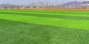 广东省足球产业研究报告：广东省共有足球场地1.16万个居全国第一