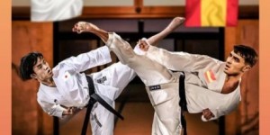 <?php the_title(); ?>