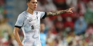 欧文：努涅斯在处理球时不够细腻，他让我想起苏亚雷斯