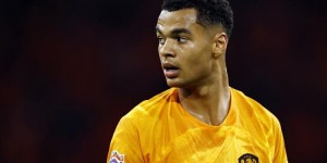 <?php the_title(); ?>