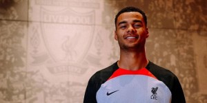 <?php the_title(); ?>