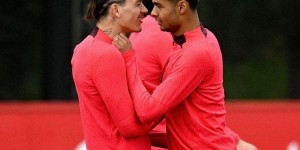 <?php the_title(); ?>