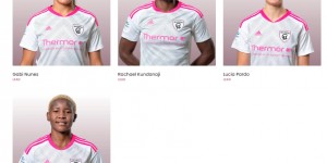 <?php the_title(); ?>