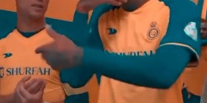 <?php the_title(); ?>