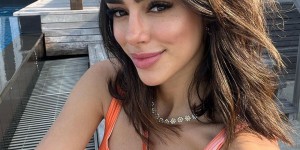 <?php the_title(); ?>