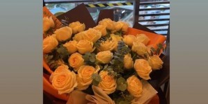 <?php the_title(); ?>