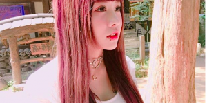 <?php the_title(); ?>