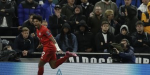 <?php the_title(); ?>