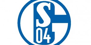 沙尔克官方：中场塞尔达至柏林赫塔的转会已经完成