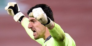 <?php the_title(); ?>