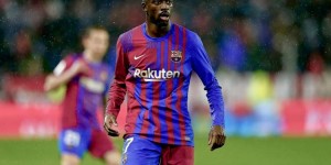 <?php the_title(); ?>