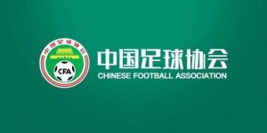 中国足协官方：坚决拥护纪检监察机关对刘奕、陈永亮进行调查