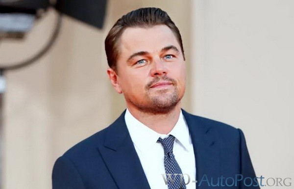 为什么你不能让莱昂纳多使用你的德州扑克资金 ​