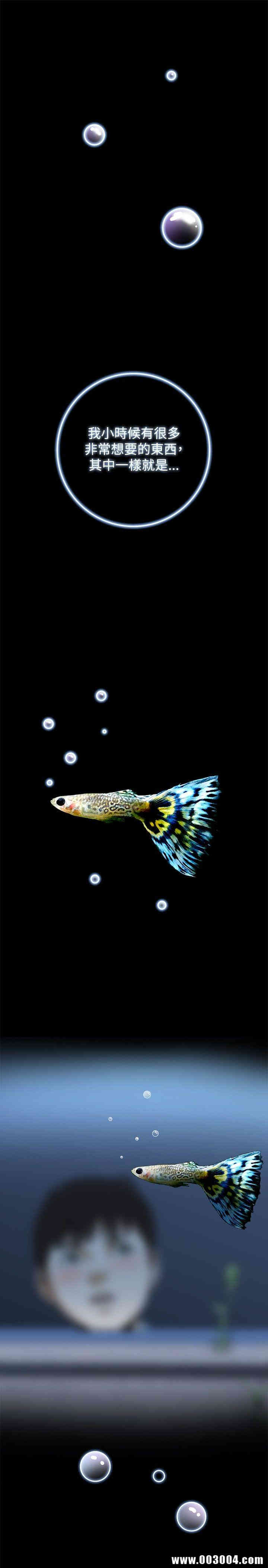 偷窥(无删减) 完结