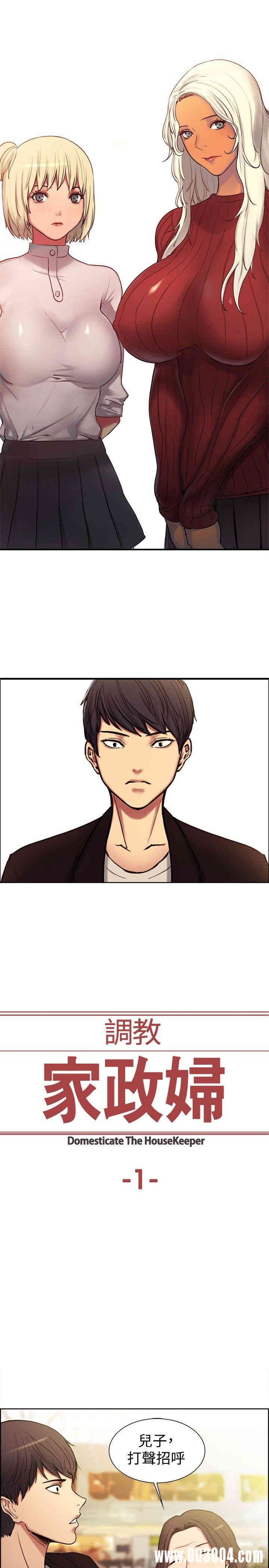 调教家政妇 完结