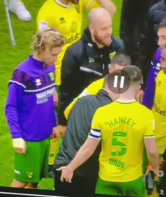 轻拢慢捻抹复挑？庆祝仪式上诺维奇队长“玩弄”队友的屁股