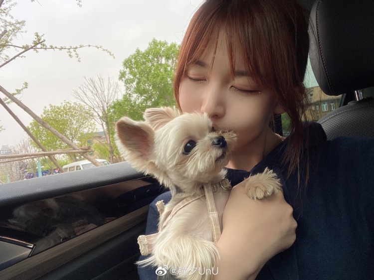 解说瞳夕更博晒照：狗狗在身边太治愈啦