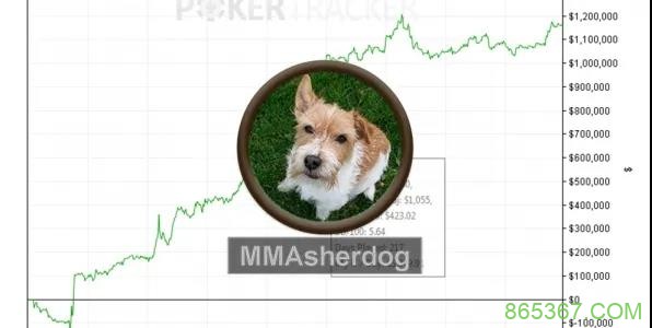 世界排名前10的线上常规桌玩家:MMAsherdog