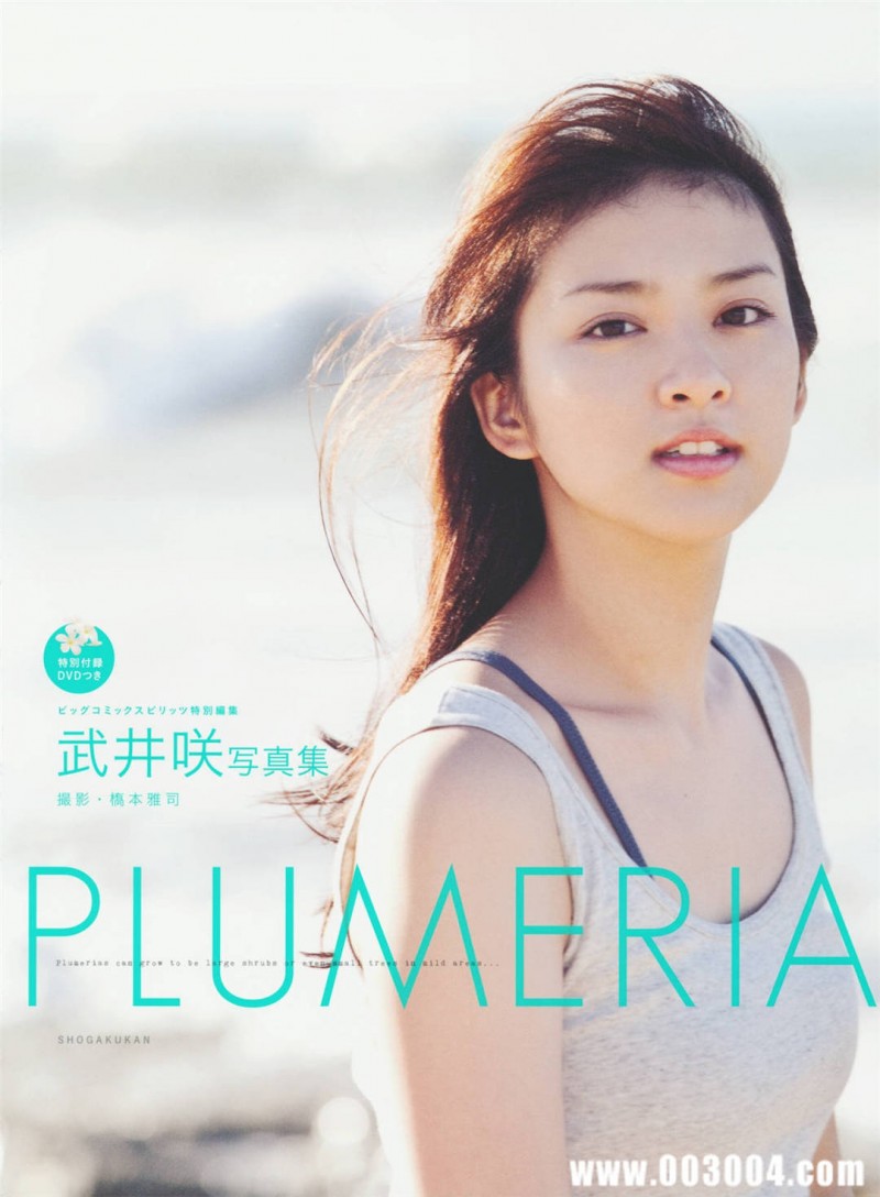 武井咲写真集《PLUMERIA》高清全本 精品