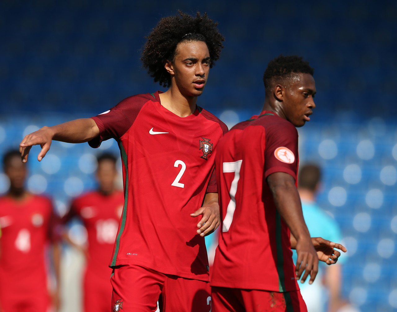 迪马:枪手接近签下本菲卡后卫20岁塔瓦雷斯,转会费1500万欧