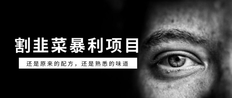 月入百万灰黑产，到底坑了多少韭菜？