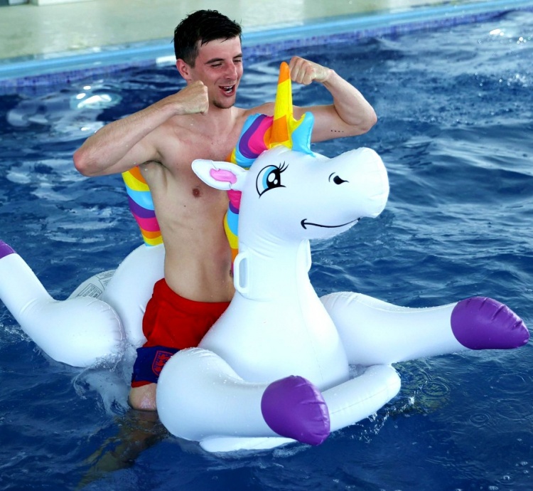 ?逐渐宝化？芒特、桑乔和萨卡水中嬉戏喜乘独角彩虹小马