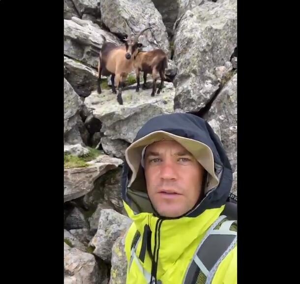 诺伊尔晒与山羊合影:GOAT再次回到了阿尔卑斯山