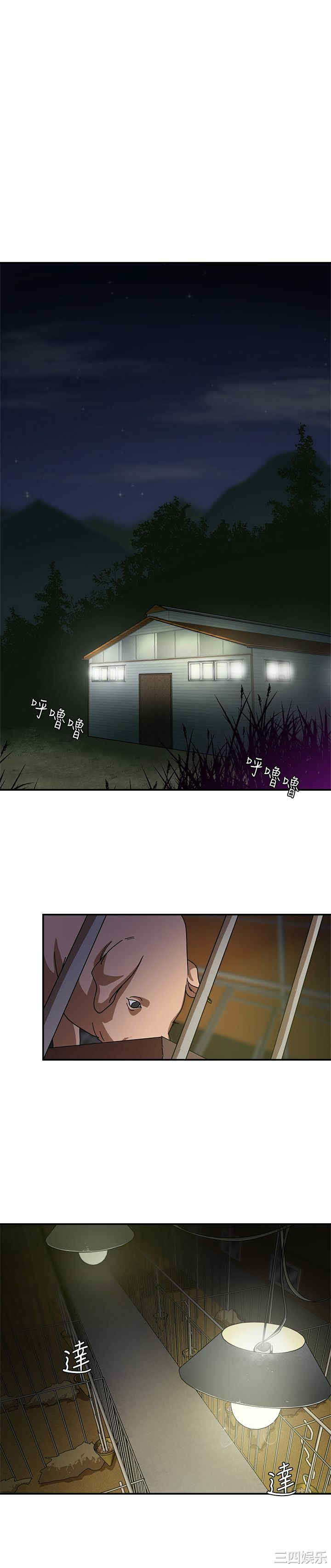 母猪养成计划 完结