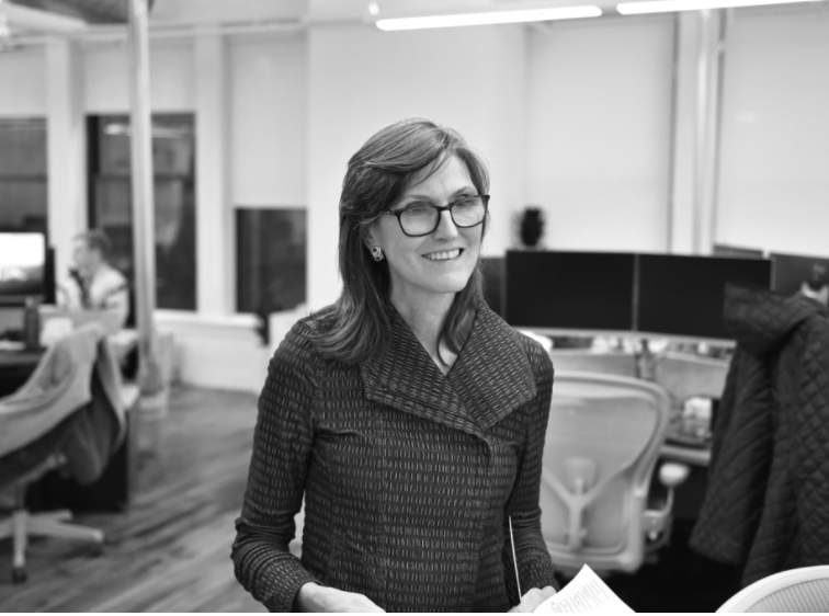 美国在线体育博彩市场空间广阔，“木头姐”入局!