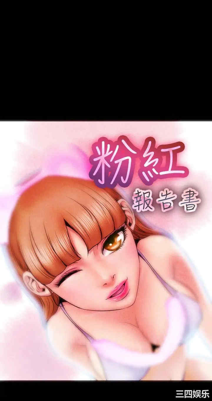 粉红报告书 粉红报告书 完结