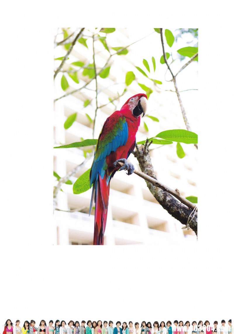 乃木坂46写真集《1時間遅れのI love you》高清全本 精品