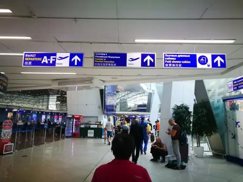 乌克兰鲍里斯波尔机场频繁出现盗窃