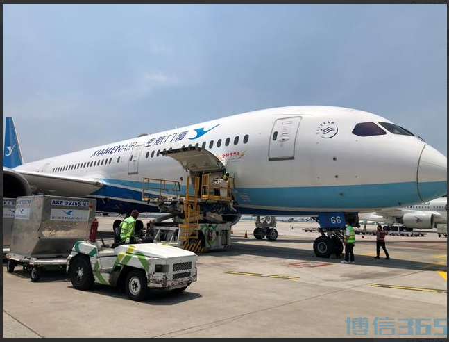 首家中国航空公司恢复中印尼往返定期航班