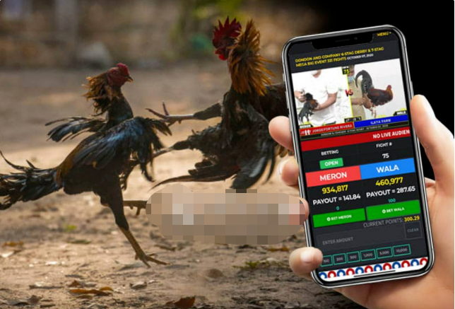 菲律宾博彩监管机构：E-sabong 纳税超过 POGO