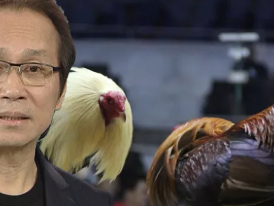 菲华裔博彩大亨获25年网络斗鸡特许经营权