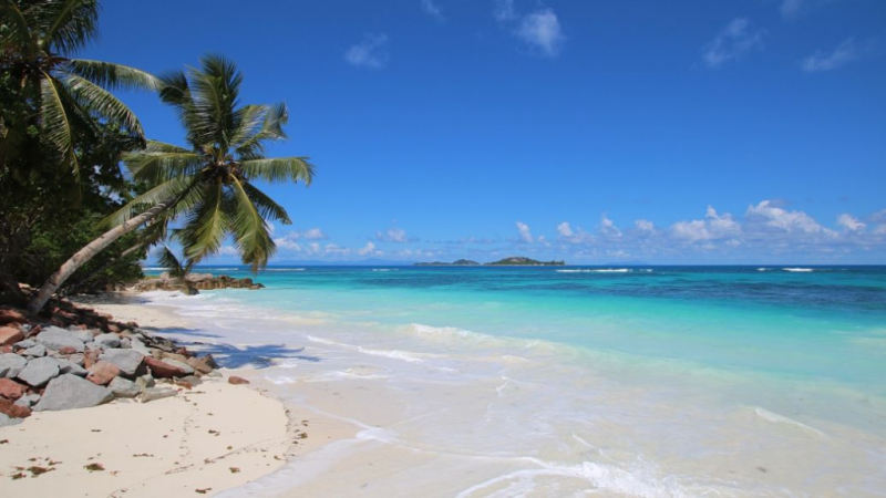 吴聪满的美加世界集团将开发第二个长滩岛赌场