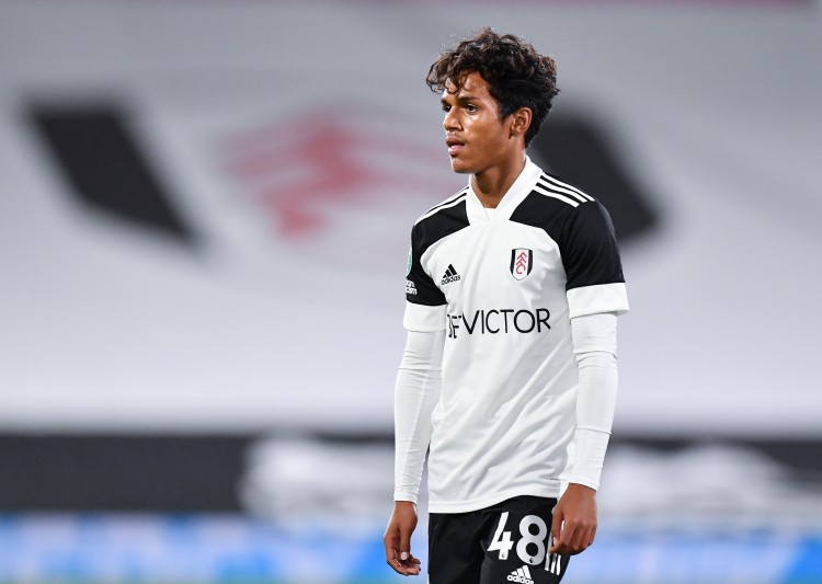 邮报：皇马和英超多队有意富勒姆19岁前锋法比奥-卡瓦略