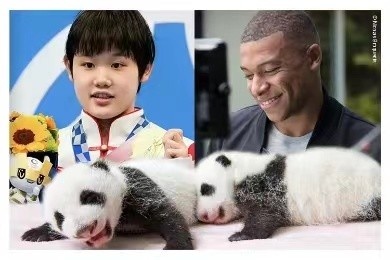 姆巴佩与中国跳水名将张家齐将为中国旅法熊猫幼崽命名