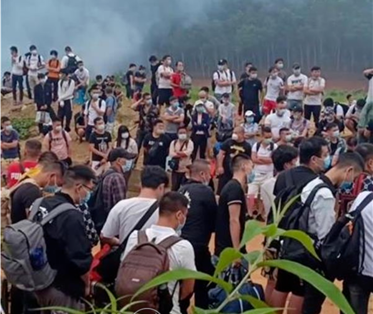 将诈骗赶尽杀绝 博彩才能独善其身