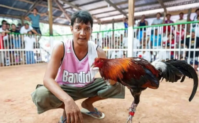 菲律宾赌博简史