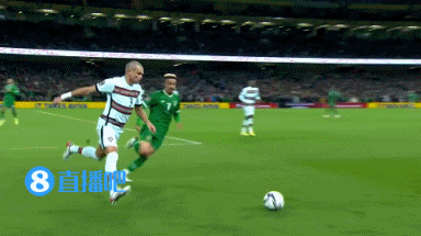 佩佩肘击对手两黄变一红被罚下,无缘末轮战塞尔维亚