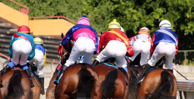 新加坡赛马博彩局上财年发放4亿2600万元捐款