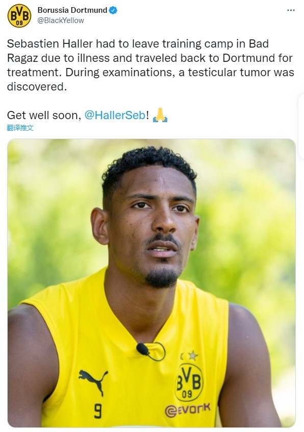 多特官方:新援阿莱检查出睾丸肿瘤,将退出集训接受治疗