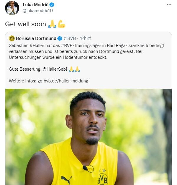 莫德里奇祝福阿莱：祝愿你早日康复??