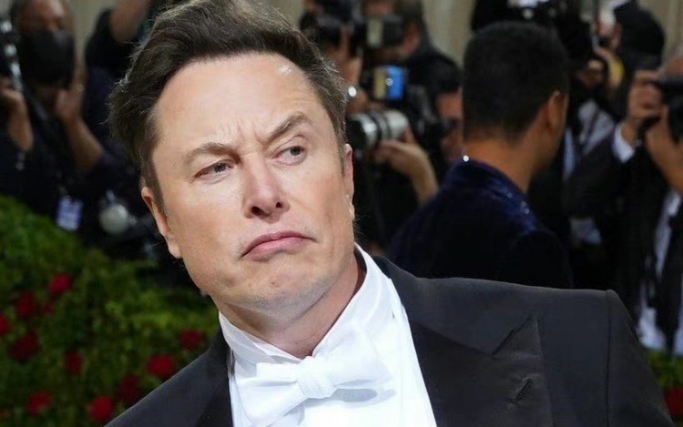 马斯克否认与谷歌创始人妻子有染：三年就见两次