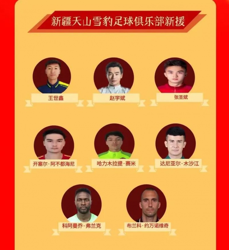 中甲新疆天山雪豹官方:约万诺维奇、弗兰克等11人加入球队