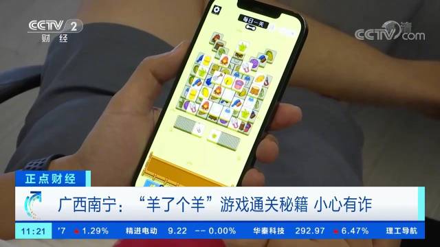 央视揭秘羊了个羊诈骗陷阱:警惕以通关秘籍、外挂等形势的诈骗