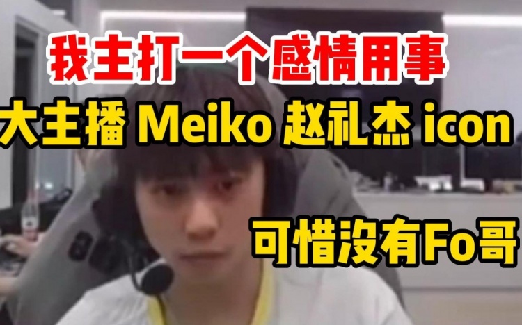 Ale十大选手:主打一个感情用事,投了大主播 meiko jiejie icon