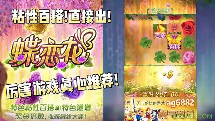 蝶恋花——大发娱乐全新上线的浪漫互动主题佳作